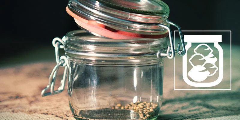 best kratom to increase energy
