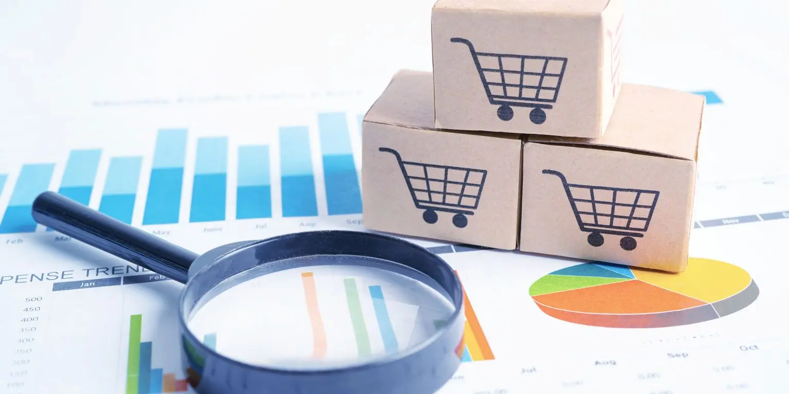 Dropshipping Supplier 