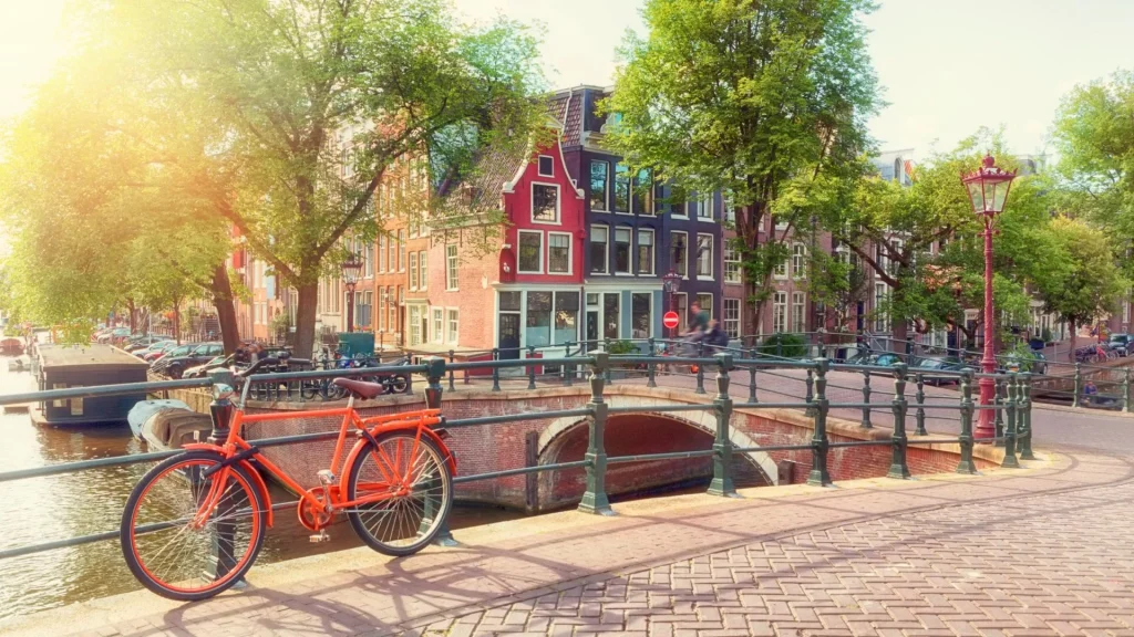 Bike Tours Amsterdam
